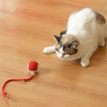Automatic Rolling Cat Toy Ball With Moving Tail – USB Rechargeable
