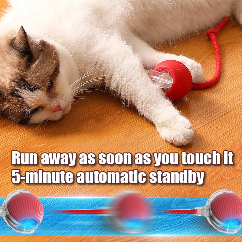 Automatic Rolling Cat Toy Ball With Moving Tail – USB Rechargeable