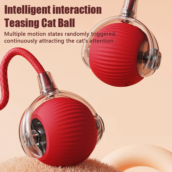 Automatic Rolling Cat Toy Ball With Moving Tail – USB Rechargeable