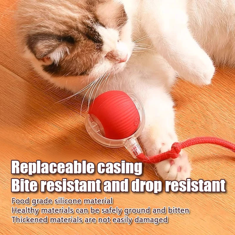 Automatic Rolling Cat Toy Ball With Moving Tail – USB Rechargeable