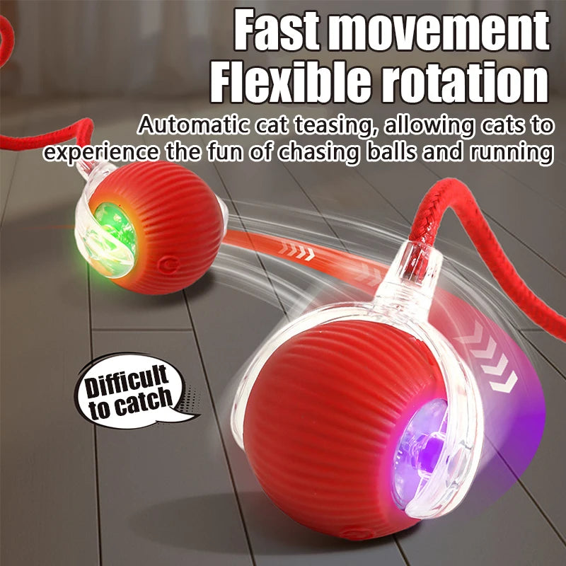 Automatic Rolling Cat Toy Ball With Moving Tail – USB Rechargeable